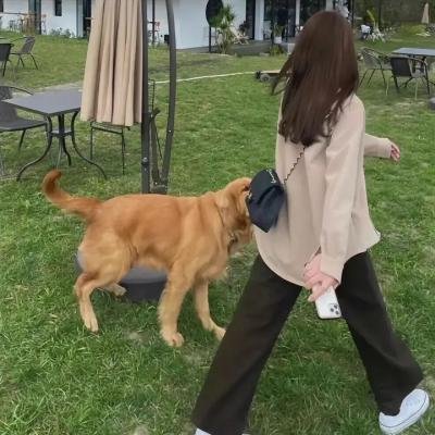 孤胆煞星
